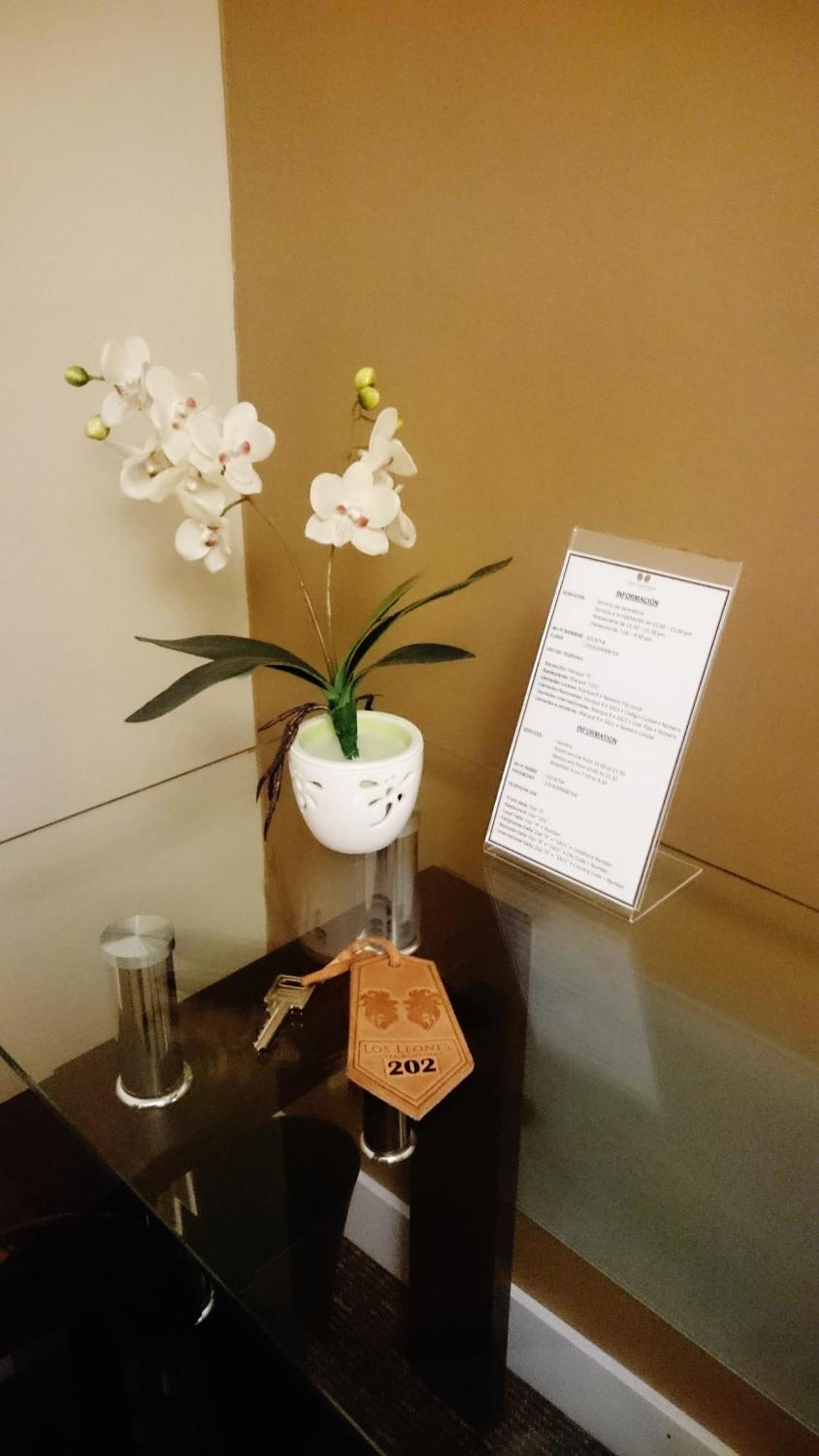 Los Leones Hotel Boutique Yanahuara Kamer foto